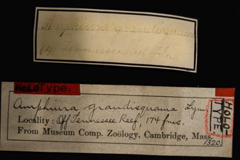 Media type: image;   Invertebrate Zoology OPH-1320 Aspect: labels